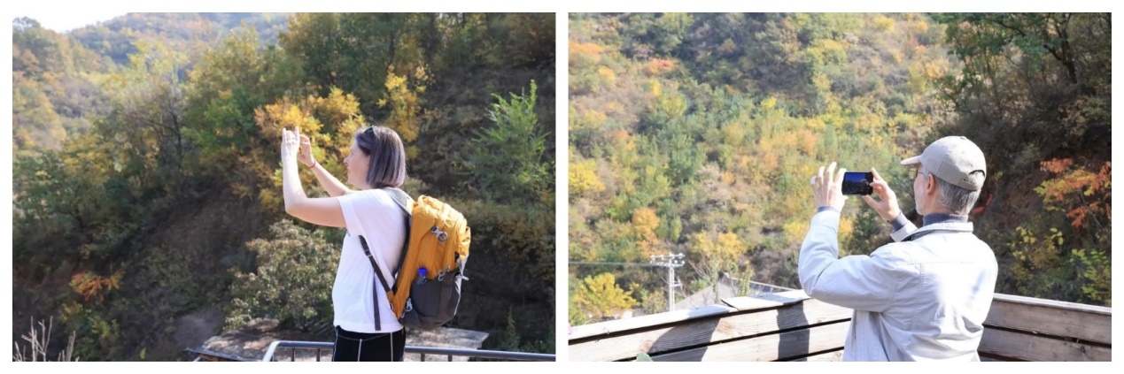 圖片4.png 圖片4.png