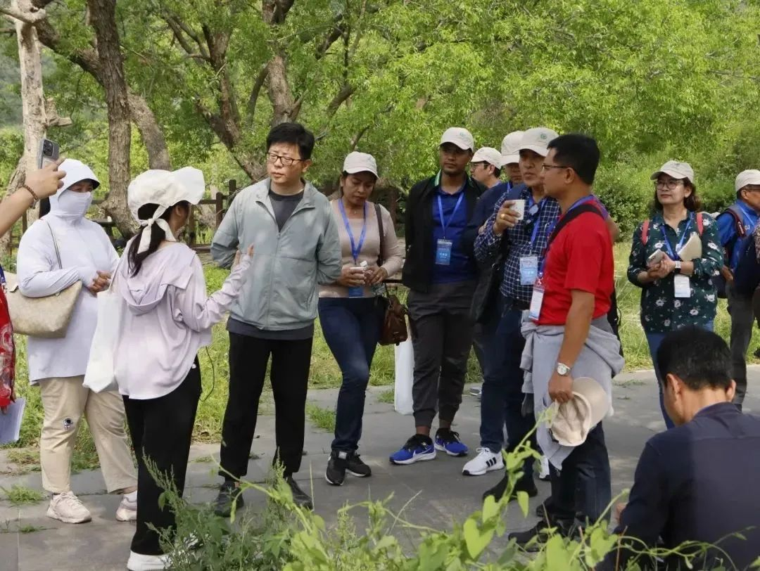 圖片2.png 圖片2.png