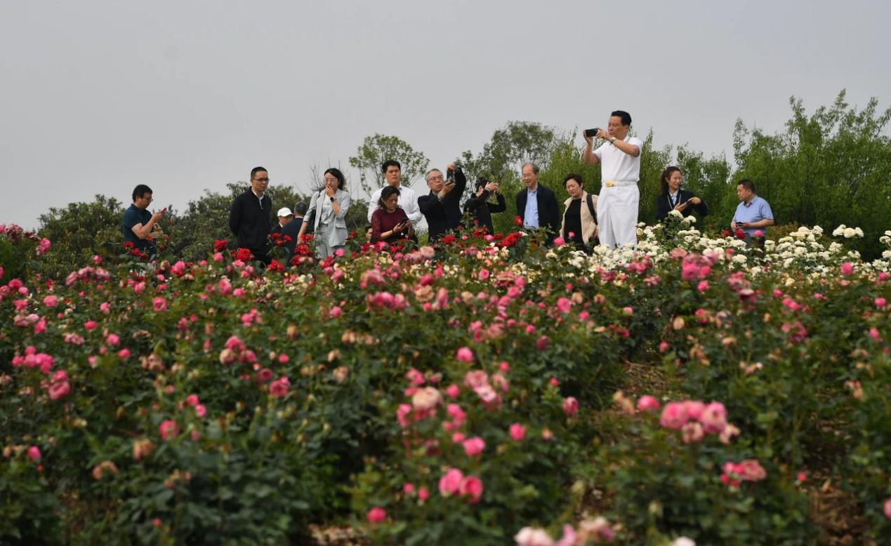 圖片 1.png 圖片 1.png