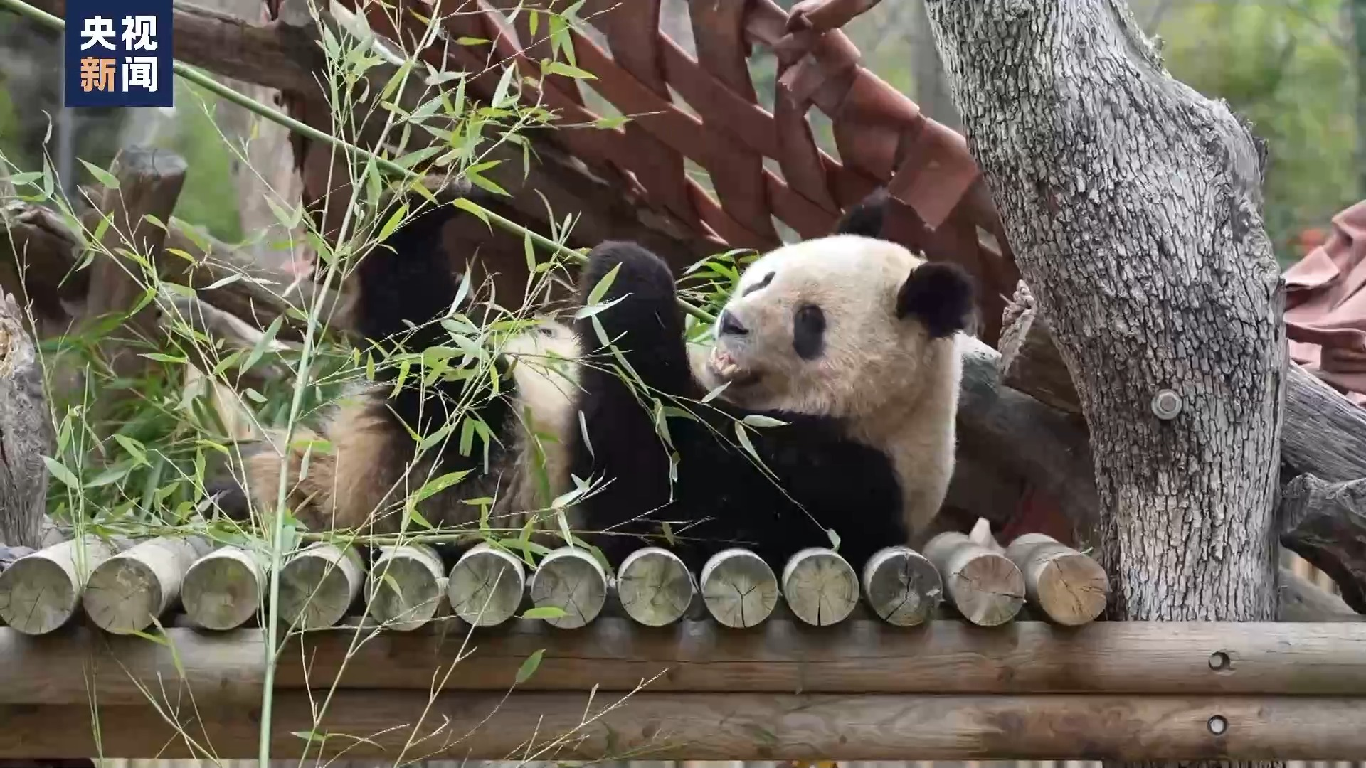 圖片1.png 圖片1.png