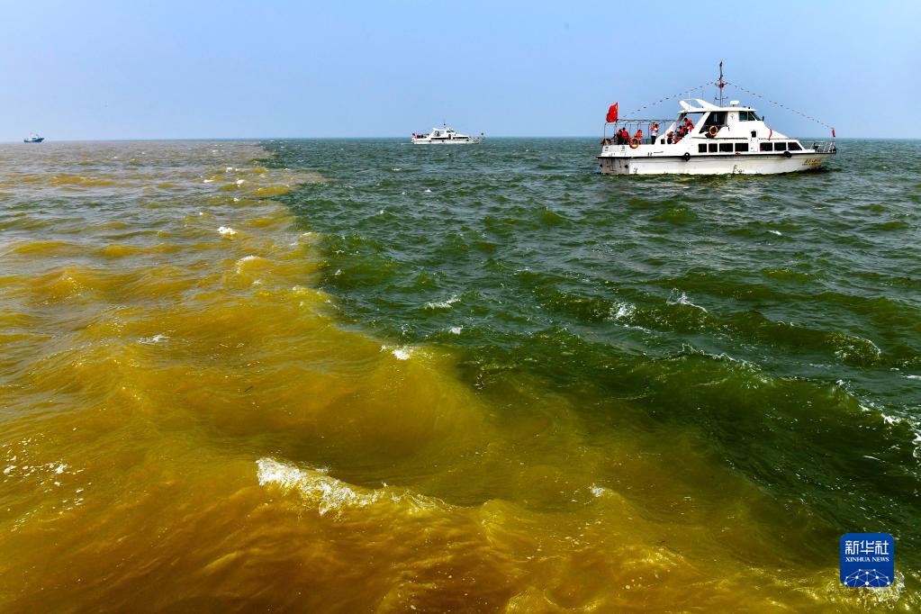 在山東省東營市黃河入?？?，黃河匯入渤海，形成獨特景觀（5月13日攝）。新華社記者 郭緒雷攝